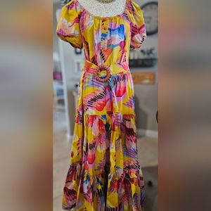 Farm Rio Neon Macaw Puff Sleeve Maxi Dress Sz L